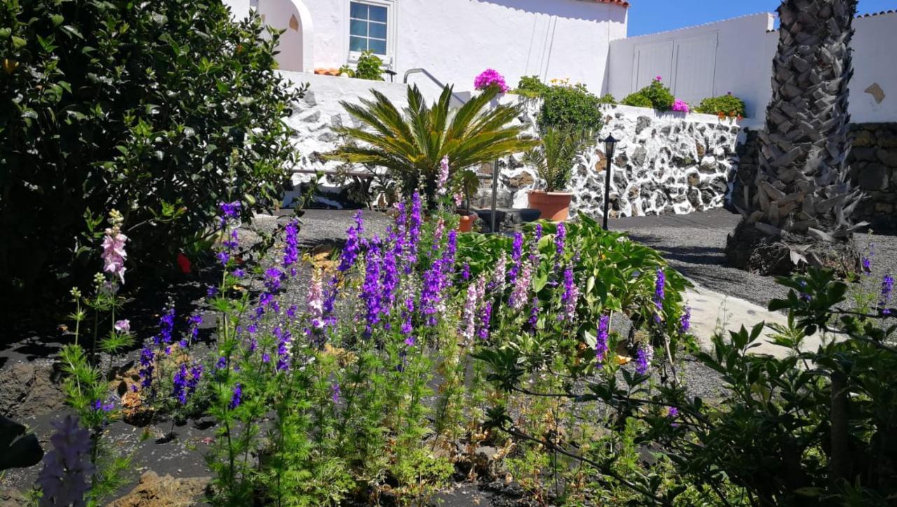 Finca Primavera إل باسو المظهر الخارجي الصورة