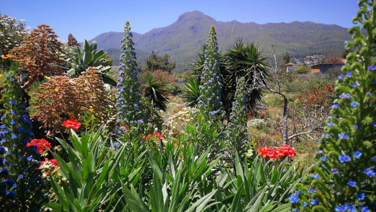 Finca Primavera إل باسو المظهر الخارجي الصورة