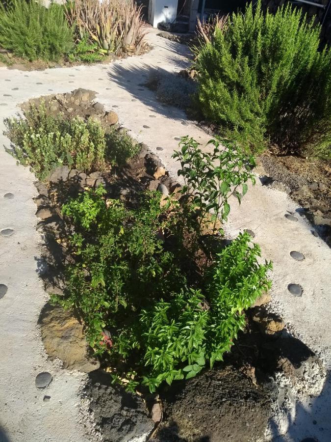 Finca Primavera إل باسو المظهر الخارجي الصورة